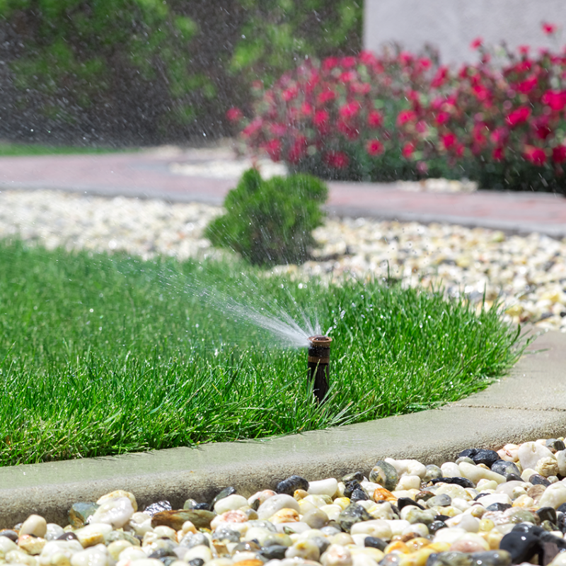 Summer Water Saving Tips