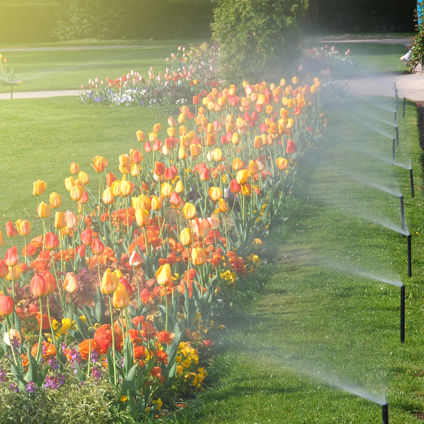 Smart Irrigation: Working with a Sustainable Landscape