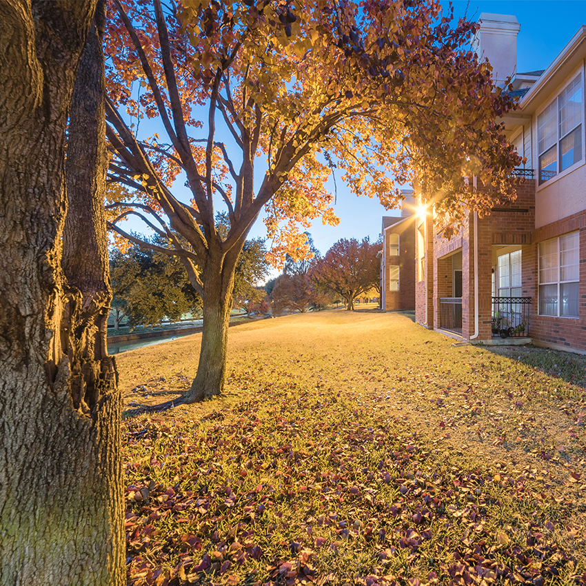 5 Fall Water Conservation Tips