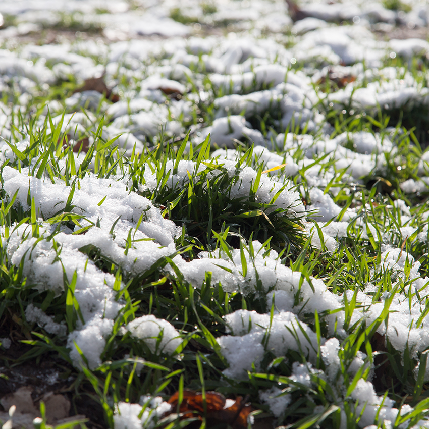 10 Pre-Spring Water Saving Tips