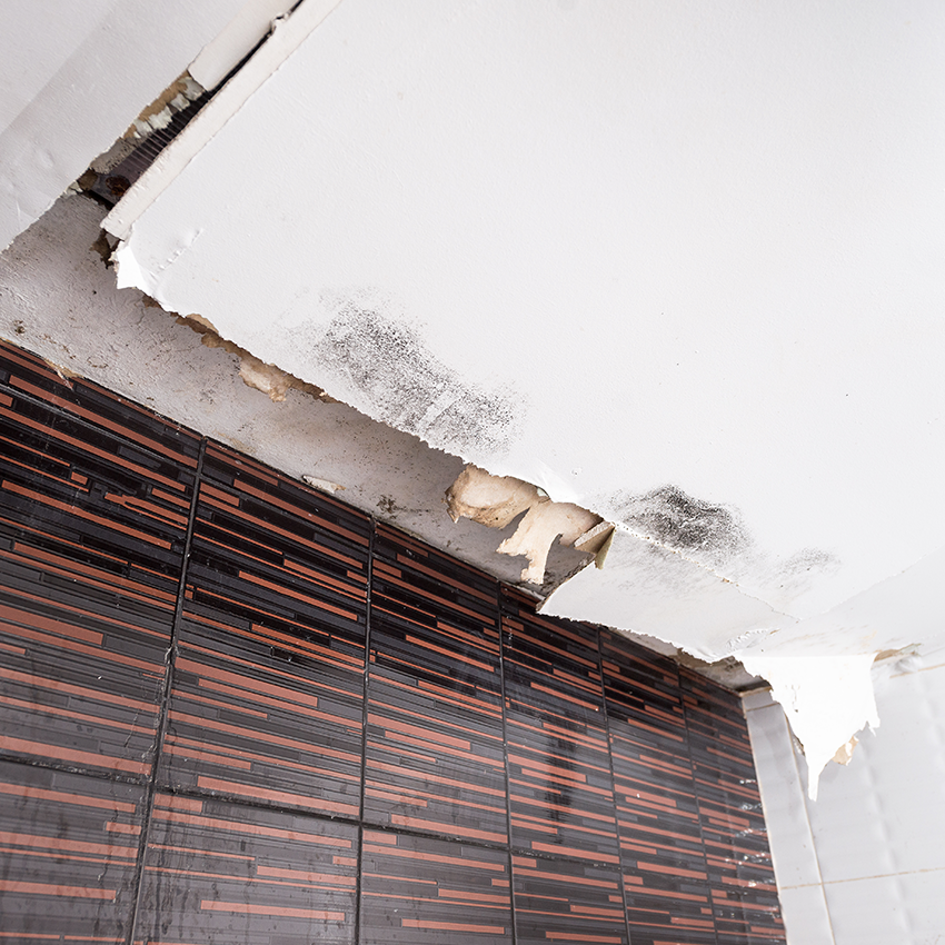 How to Spot Physical Signs of a Water Leak